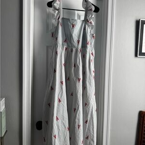 Pink Chicken Dress with Red Floral Embroidery